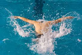 国际象棋的 国际象棋的