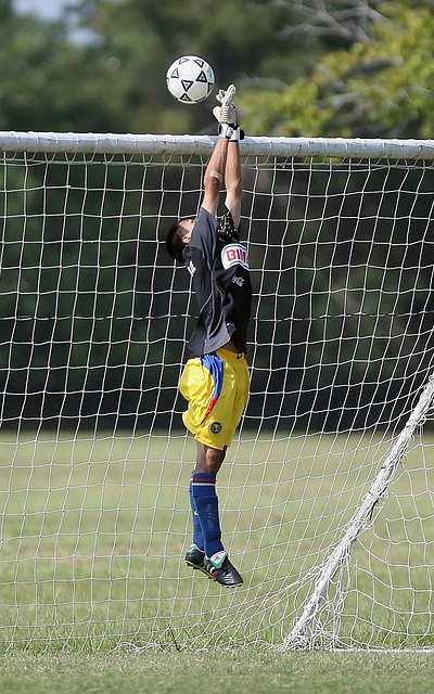 者的舒适 者的舒适