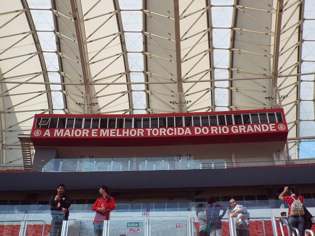 高身价的球 高身价的球