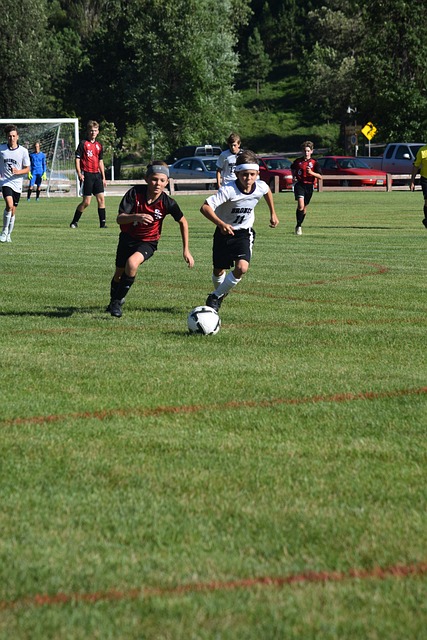 好地理解社 好地理解社